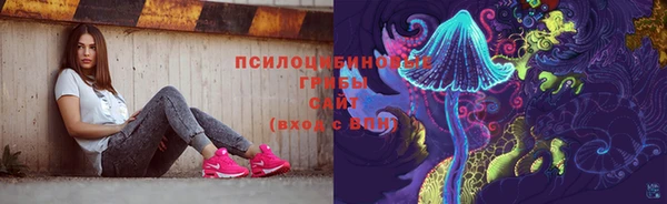 стаф Арсеньев