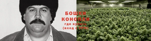ешки Аркадак