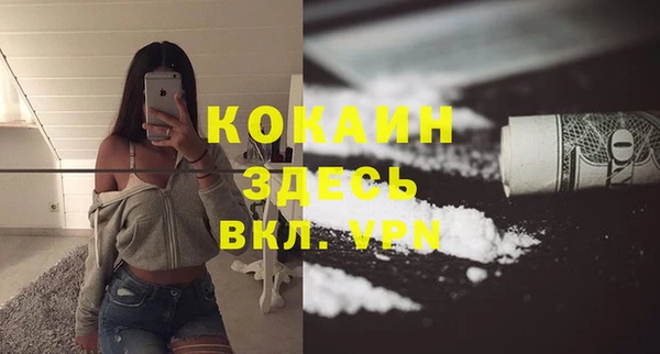 ешки Аркадак