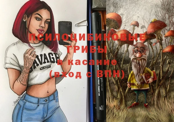 стаф Арсеньев