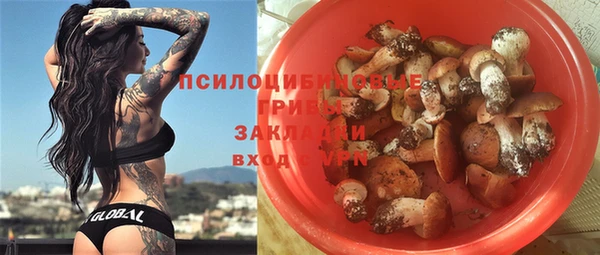 ешки Аркадак