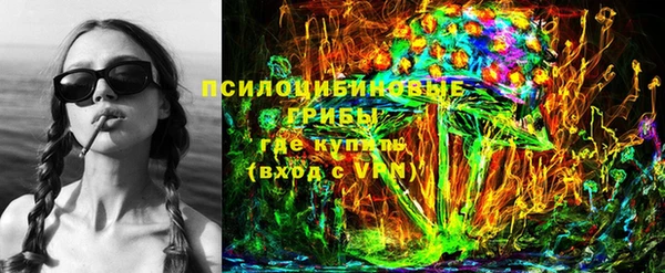 стаф Арсеньев