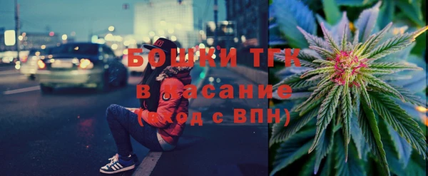 стаф Арсеньев