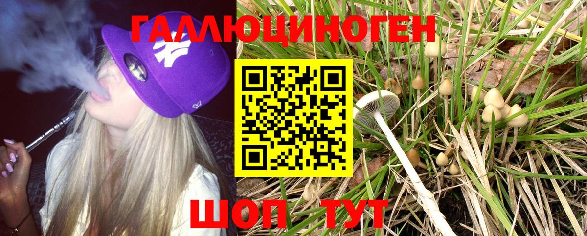 Псилоцибиновые грибы Cubensis  купить наркоту  Жуковский  Вход с VPN 