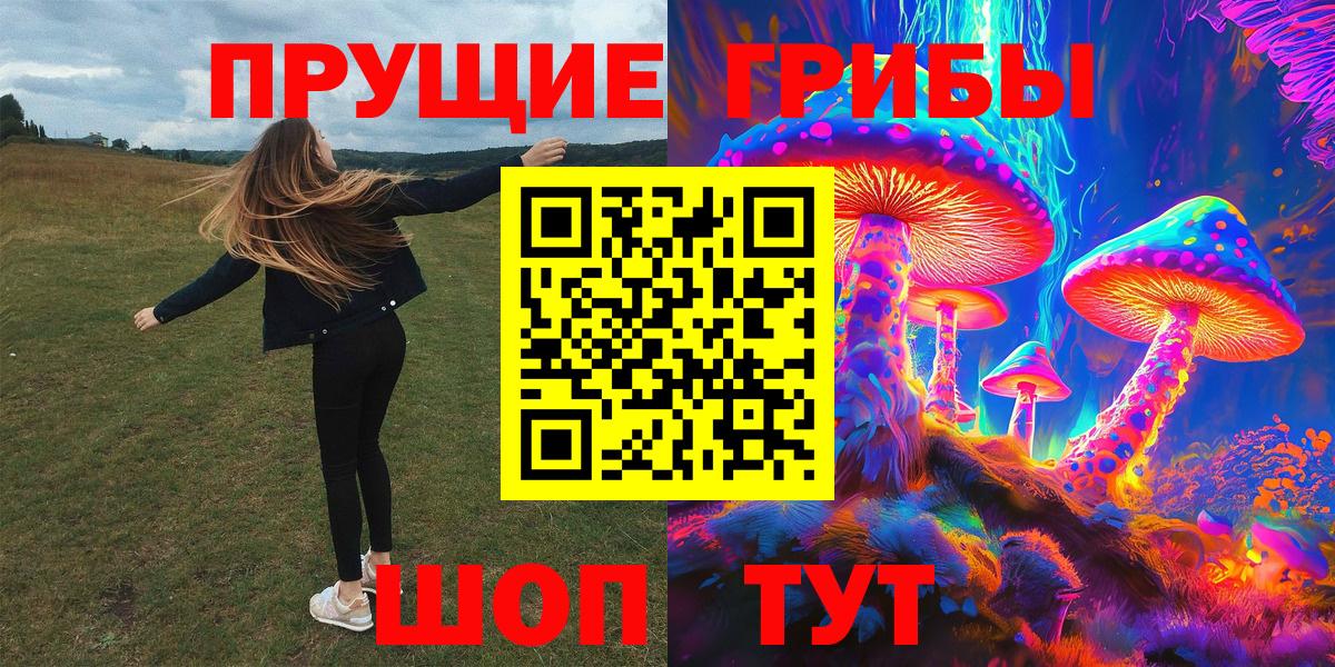 Псилоцибиновые грибы Psilocybine cubensis Жуковский
